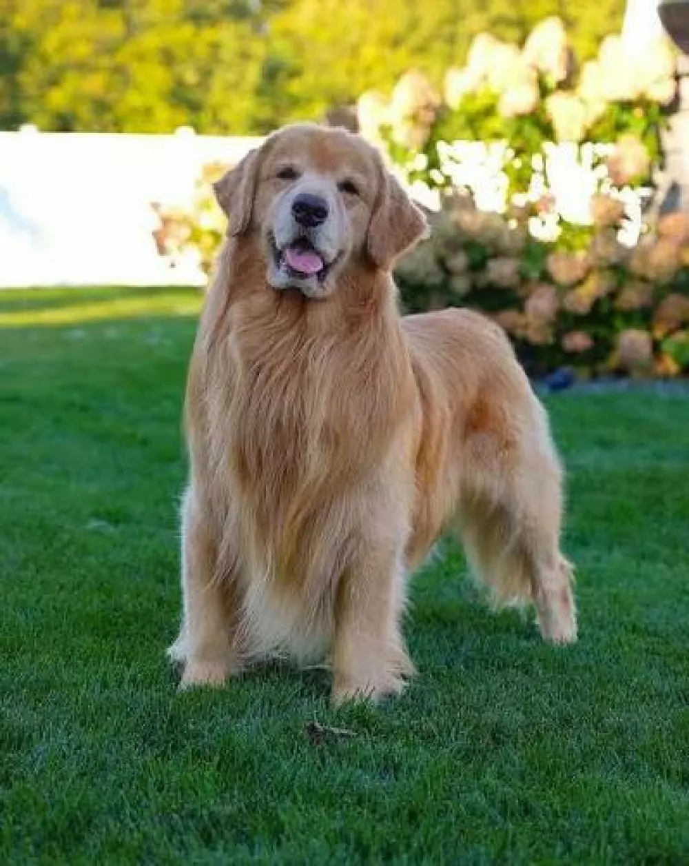 Tucker Budzyn / Foto: Courtney Budzyn