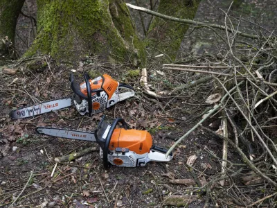 - motorka- 27.02.2024 &ndash; Krajinski park Tivoli &ndash; sečnja oslabljenih in bolnih dreves na območju Podrožni&scaron;ke poti v Krajinskem parku Tivoli, Rožnik in &Scaron;i&scaron;enski hrib //FOTO: Nik Erik Neubauer