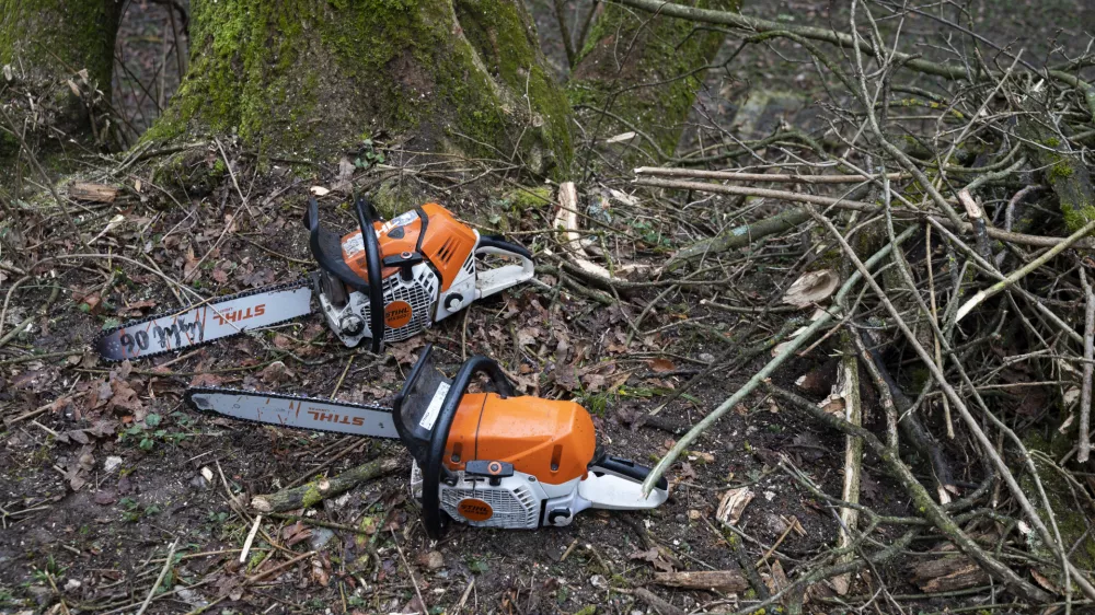 - motorka- 27.02.2024 &ndash; Krajinski park Tivoli &ndash; sečnja oslabljenih in bolnih dreves na območju Podrožni&scaron;ke poti v Krajinskem parku Tivoli, Rožnik in &Scaron;i&scaron;enski hrib //FOTO: Nik Erik Neubauer