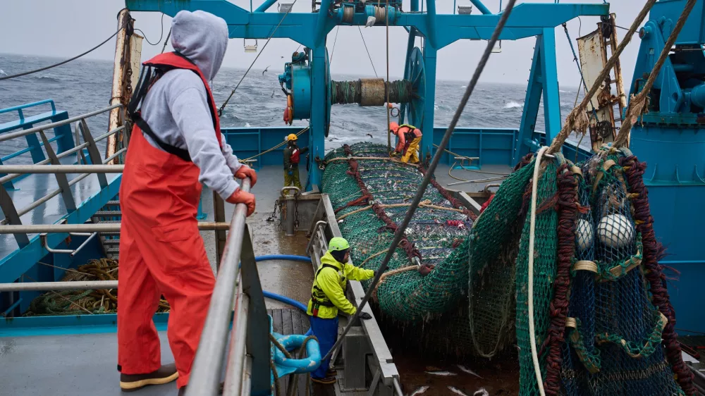 Crew members haul in a catch aboard the F/V Progress in the Bering Sea off the coast of Alaska, Wednesday, July 22, 2026. (AP Photo/Annika Hammerschlag)