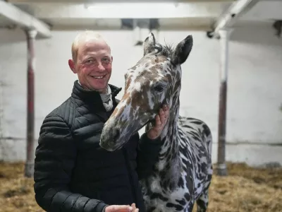 PRODUCTION - 08 October 2026, Brandenburg, Fehrbellin: Steffen Krehl stands next to his foal, J-Nimon K. The zebra-like piebald foal was sold to Dubai for 75,000 euros at a horse auction in Vienna. Photo: Sven Kaeuler/dpa,Image: 1141737011, License: Rights-managed, Restrictions: GERMANY OUT, Model Release: no 