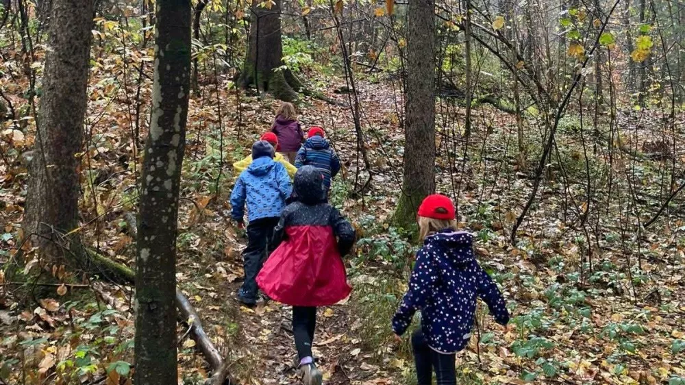 Mala ulica bo tudi letos počitni&scaron;ki program izvajala v gozdu. F Mala Ulica