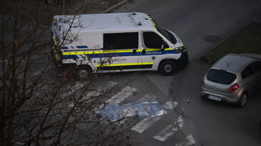 Policija - simbolična fotografijauboj - umorpreiskovalci - kriminalisti - preiskava 06.03.2026 Brnik - Streljanje policistov na storilca z nožem - Fužine - napad na policiste Foto: Nik Erik Neubauer