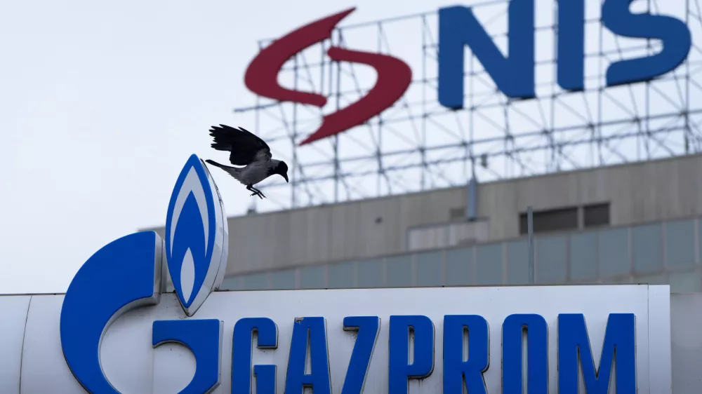 A raven flies between the NIS "Naftna industrija Srbije" (Petroleum Industry of Serbia) on an office building and the Gazprom company logo at a petrol station in Belgrade, Serbia, Sunday, Nov. 23, 2025. (AP Photo/Darko Vojinovic)