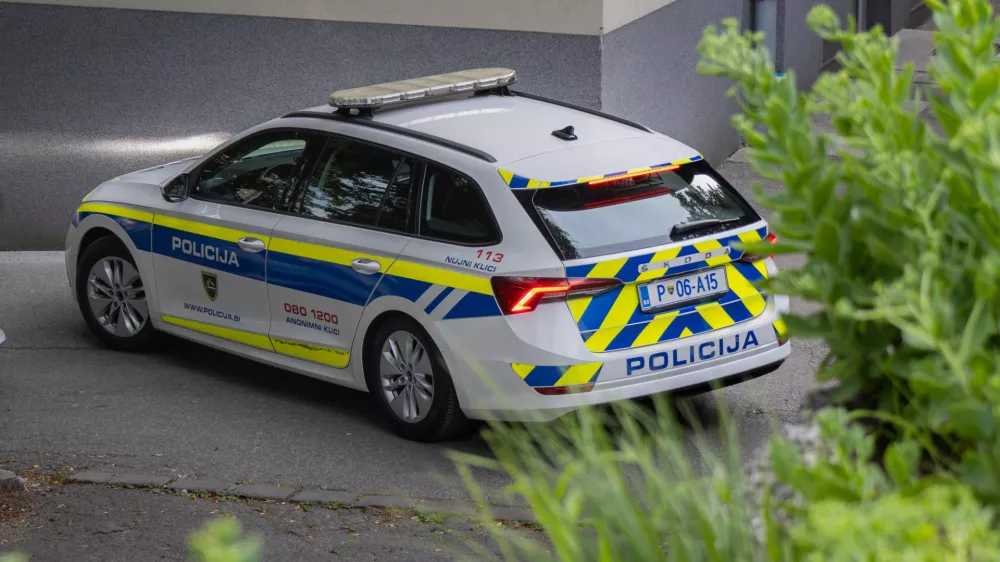 Policisti so se hitro odzvali. Na srečo huj&scaron;ih po&scaron;kodb ni bilo. Slika je simbolična.