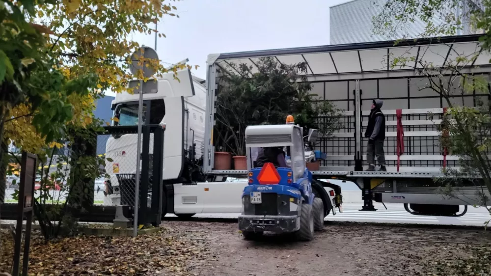 Selitev botanični vrt sredozemskih rastlin