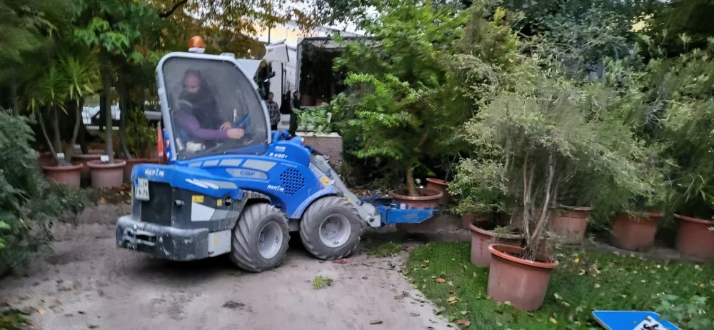Selitev botanični vrt sredozemskih rastlin