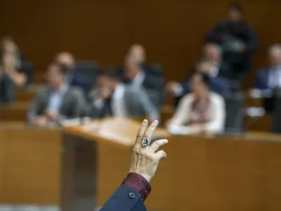 Simbolična fotografija - dvig roke21.9.2026 - začetek redne seje DZ z glasovanjem o zahtevi skupine poslank in poslancev, Državni zbor redna sejaFoto: Luka Cjuha