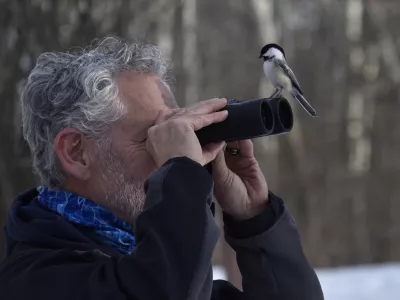 Black Capped Chickadee sitting on the binoculars of a bird watcher. Humorous and unexpected portrait! / Foto: Diane Isabel Getty Images