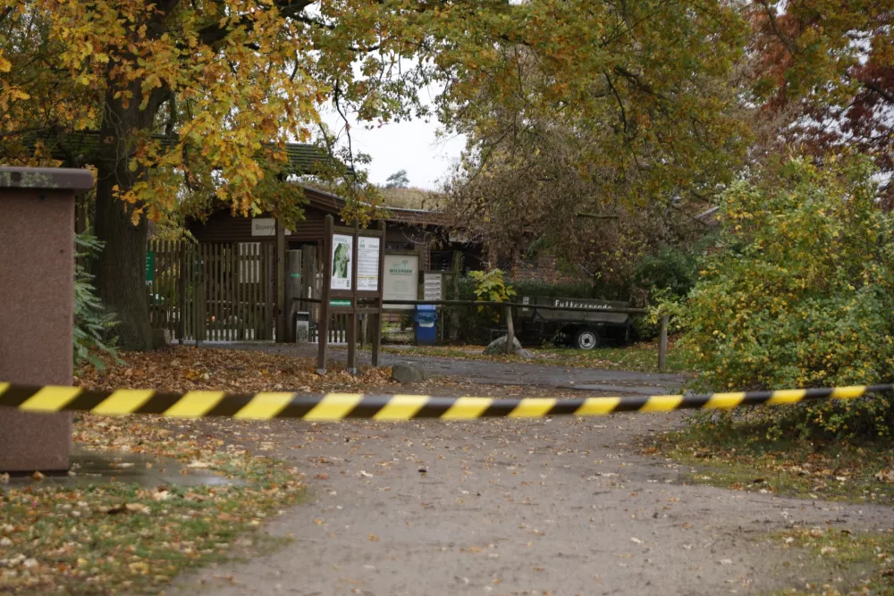 Following a wolf's attack on a child, the entrance to the Johannesmuehle Wildlife Park has been cordoned off with barrier tape in Baruth north of Berlin, Germany, Wednesday, Oct. 28, 2026. (Carsten Koall/dpa via AP)