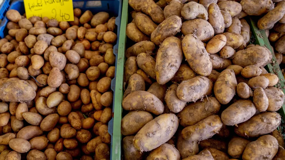 Potatoes with a price tag wait for customers in the market hall in Frankfurt, Germany, Tuesday, June 14, 2022. (AP Photo/Michael Probst)