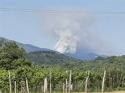 Vipavska dolina, Kamnje.<br>Pozar na Goriskem Krasu ponovno aktiven.