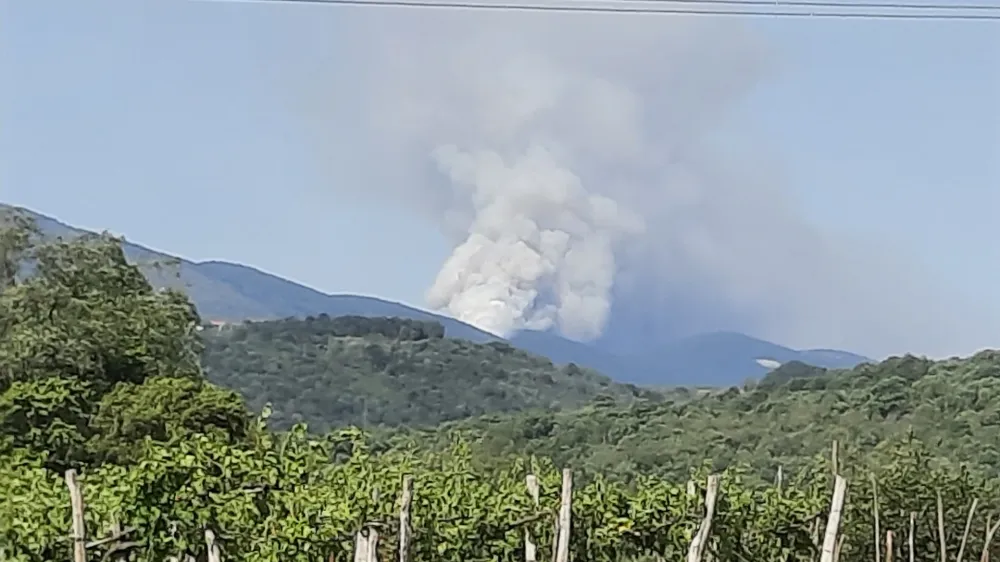 Vipavska dolina, Kamnje.<br>Pozar na Goriskem Krasu ponovno aktiven.