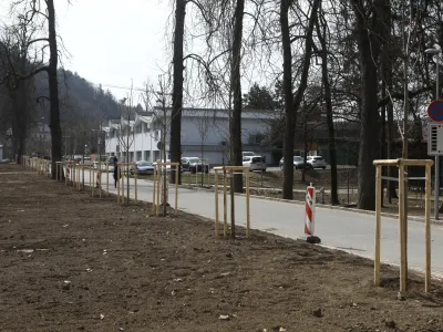 - 18.03.2022 - Park Kodeljevo v Ljubljani - Ulica Carla Benza – kostanjev drevored  //FOTO: Luka Cjuha