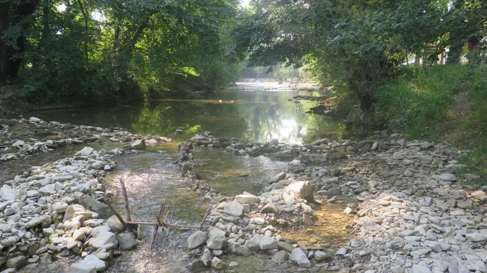 Pobegi, ob koci Ribiske druzine Koper.<br>Reka Rizana.