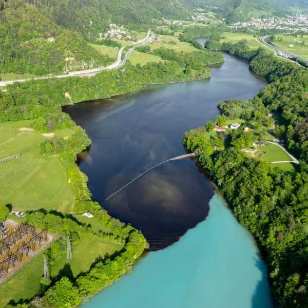 Cvetenje alg reka Sava, Žirovnica