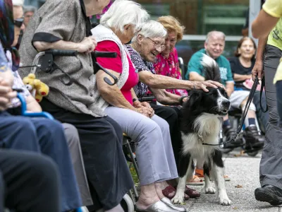 psi in starostniki - 26.08.2020 - Dom starejih občanov DSO Fuine v Ljubljani, Nove Fuine 40 - oskrbovanci - stareji občani - starostniki  upokojenci - //FOTO: Matja Rut