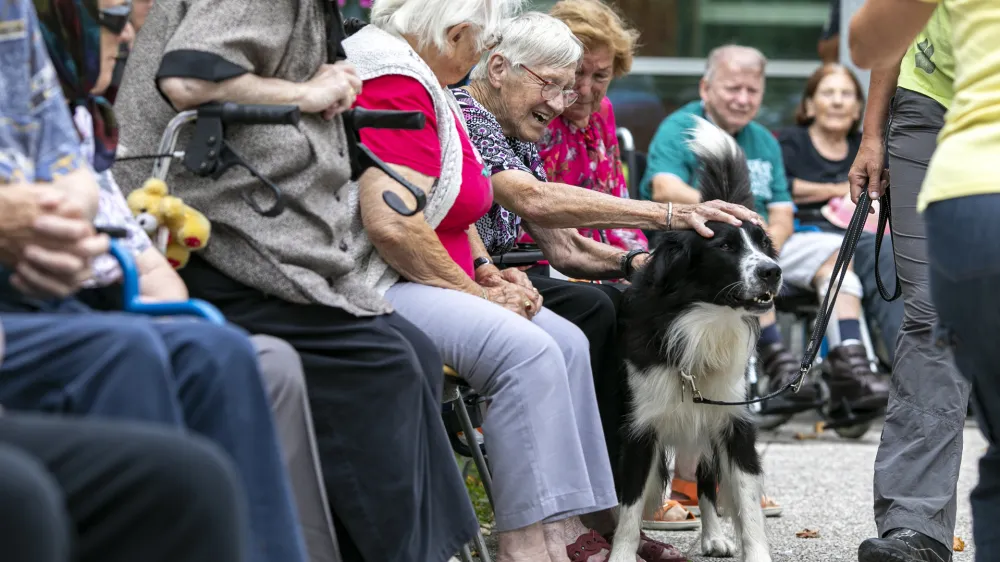 psi in starostniki - 26.08.2020 - Dom starejih občanov DSO Fuine v Ljubljani, Nove Fuine 40 - oskrbovanci - stareji občani - starostniki  upokojenci - //FOTO: Matja Rut