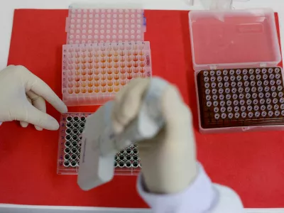 FILE PHOTO: An employee dilutes poultry serum samples for ELISA test for the detection of antibodies to the avian influenza virus at the Reference Laboratory of the World Organization for Animal Health in Campinas, Brazil April 25, 2023. REUTERS/Amanda Perobelli/File Photo