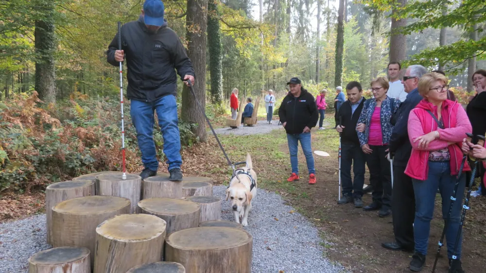 Senzorni park je izjemna pridobitev zlasti za programe mobilnosti in orientacije, ki jih pripravlja Medobčinsko društvo slepih in slabovidnih Dolenjske, Bele krajine in Posavja. F Dragana Stanković