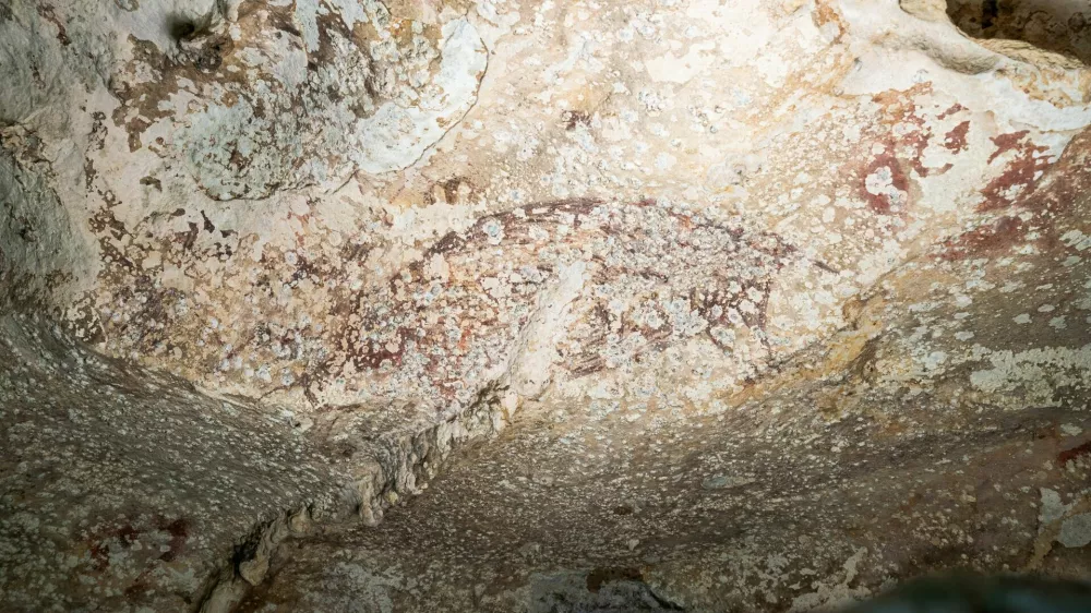 A painting created at least 51,200 years ago in the limestone cave of Leang Karampuang in the Maros-Pangkep region of the Indonesian island of Sulawesi portrays three human-like figures interacting with a wild pig, in this undated handout image. BRIN/Handout via REUTERS  THIS IMAGE HAS BEEN SUPPLIED BY A THIRD PARTY. NO RESALES. NO ARCHIVES. MANDATORY CREDIT.