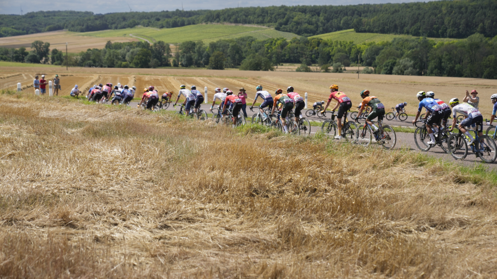 The pack rides during the ninth stage of the Tour de France cycling race over 199 kilometers (123.7 miles) with start and finish in Troyes, France, Sunday, July 7, 2024. (AP Photo/Jerome Delay)