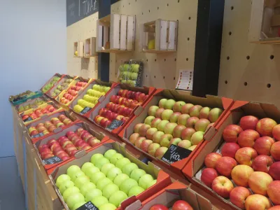 Evrosad zmanjšuje pridelavo jabolk in povečuje pridelavo drugega sadja, zelenjave in krompirja. F Dragana Stanković