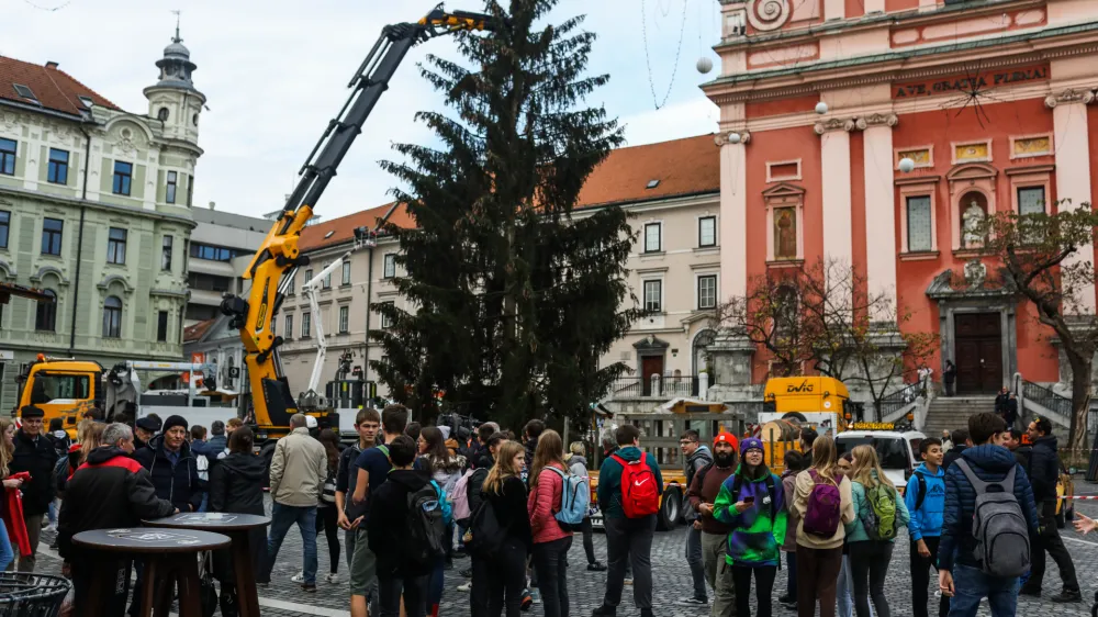 - Prešernov trg - Novoletna jelka - postavljanje smreke namenjene decembrskemu in novoletnemu okrasu - ﻿- 15.11.2022- Praznična okrasitev Ljubljane - priprave na Veseli December - božično novoletni sejem - prednovoletno okraševanje //FOTO: Bojan Velikonja