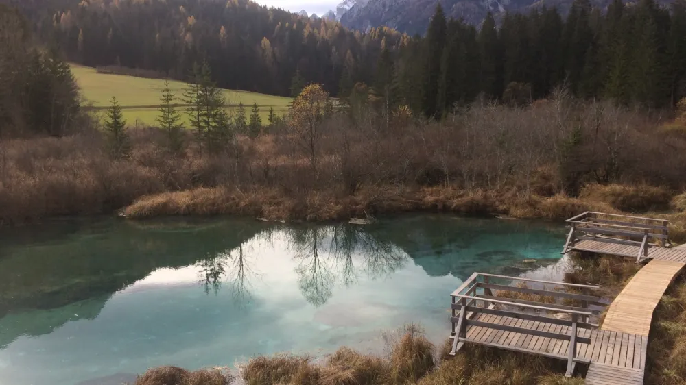 Po poletni suši je izvir Zelenci ponovno poln vode. 