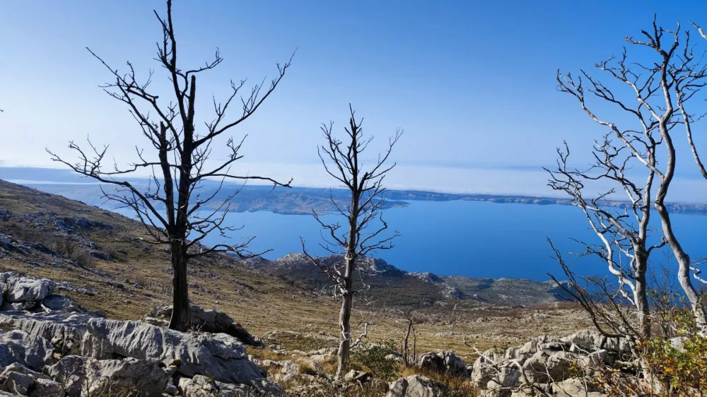 Navdušili so ju neokrnjena pokrajina, bogastvo narave in nepozabni razgledi. Tudi vreme jima je bilo naklonjeno.