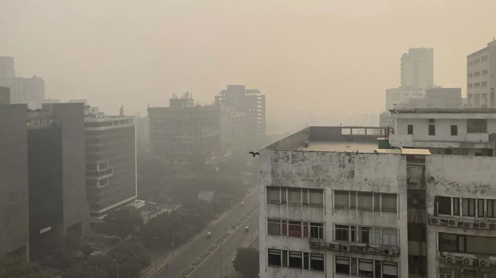 A bird flies with the horizon enveloped by smog and haze in New Delhi, India, Friday, Nov. 4, 2022.Indian authorities on Friday shut polluting industries and construction activity, restricted diesel-run vehicles and deployed water sprinklers and anti-smog guns to control haze and smog enveloping the skyline of the Indian capital region. (AP Photo/Shonal Ganguly)