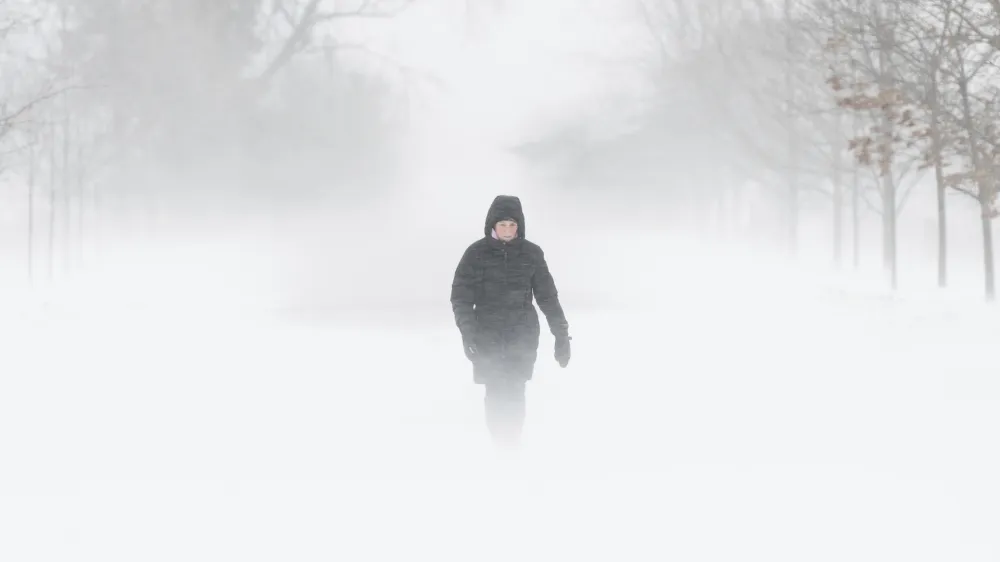 A person walks through the Central Experimental Farm during strong winds and snow squalls in Ottawa, Canada, on Saturday, Dec. 24, 2022. Environment Canada has issued a winter storm warning for the region. (Spencer Colby/The Canadian Press via AP)