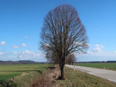 kmetijska zemljišča, Lendava. Foto: Tatjana Pihlar 