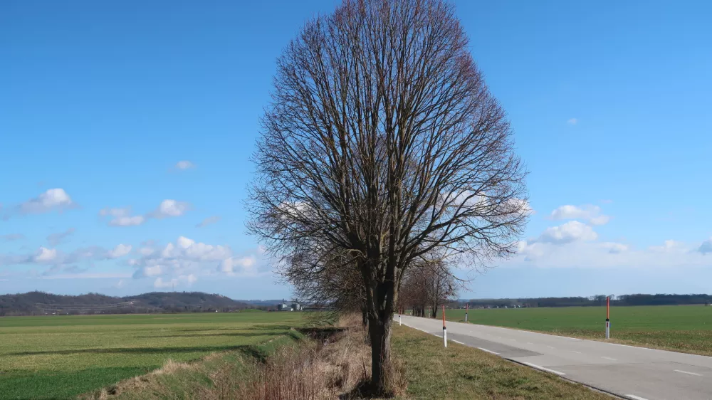 kmetijska zemljišča, Lendava. Foto: Tatjana Pihlar 