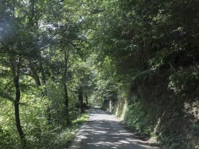 - 21.07.2024 - gozd v okolici Lesnine na Brdu //FOTO: Jaka Gasar