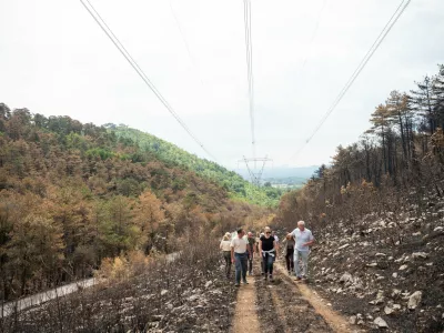 Komen.Ministrica za kmetijstvo, gozdarstvo in prehrano Mateja Calusic si je skupaj s predstavniki Zavoda za gozdove Slovenije na Krasu ogledala skodo po pozaru, ki je hrib Trstelj zajel v cetrtek 18. julija.