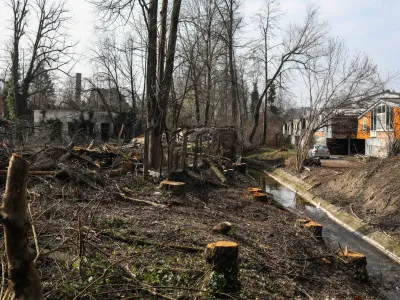 Direkcija za vode namerava na delu struge Gradaščice, v bližini katere naj bi zrasla stanovanjska soseska Urbana oaza, odstraniti betonska korita.