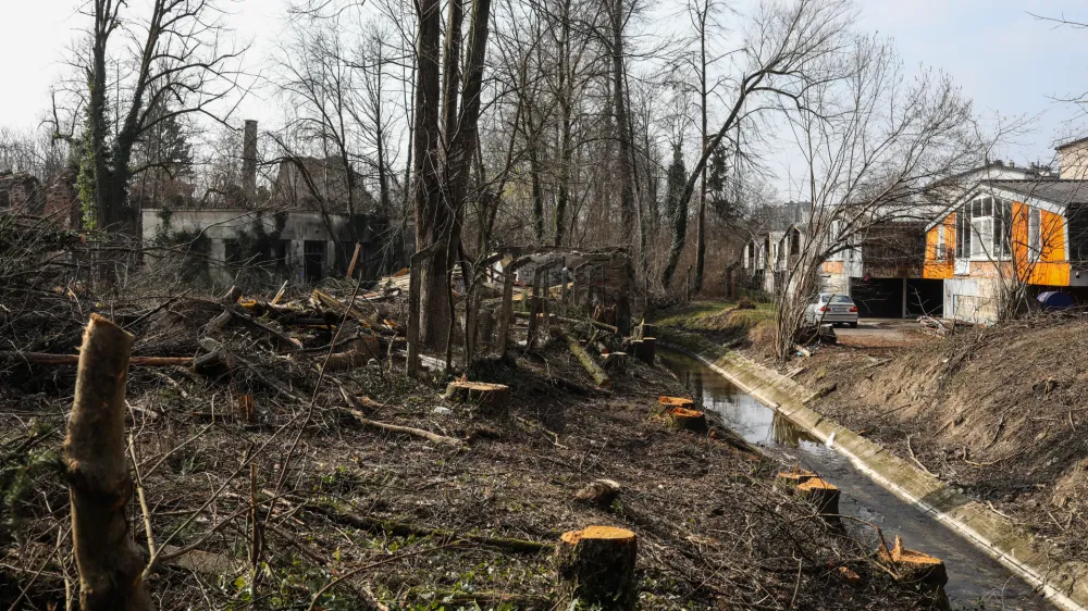 Direkcija za vode namerava na delu struge Gradaščice, v bližini katere naj bi zrasla stanovanjska soseska Urbana oaza, odstraniti betonska korita.