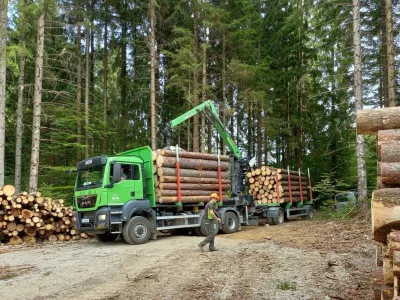 Družba Slovenski državni gozdovi z odkupovalci državne hlodovine sklepa nove dolgoročne prodajne pogodbe. Nekateri so z dodeljenimi količinami zadovoljni, drugi so ogorčeni.