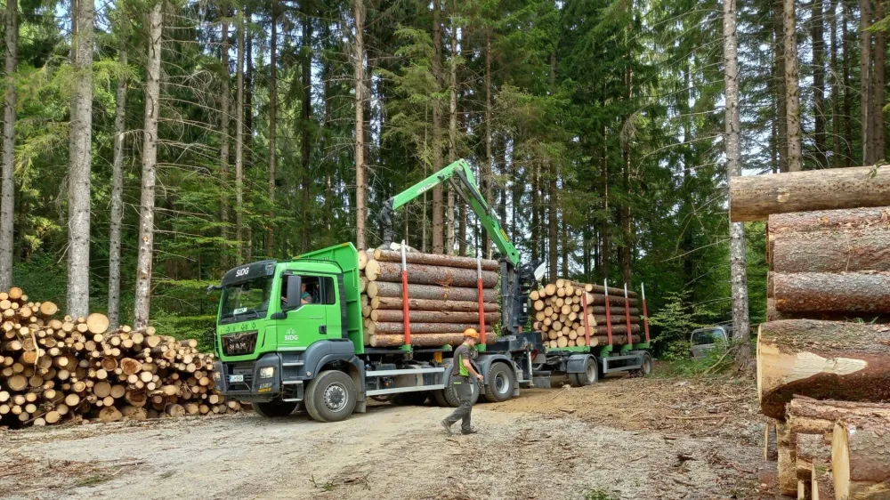 Družba Slovenski državni gozdovi z odkupovalci državne hlodovine sklepa nove dolgoročne prodajne pogodbe. Nekateri so z dodeljenimi količinami zadovoljni, drugi so ogorčeni.