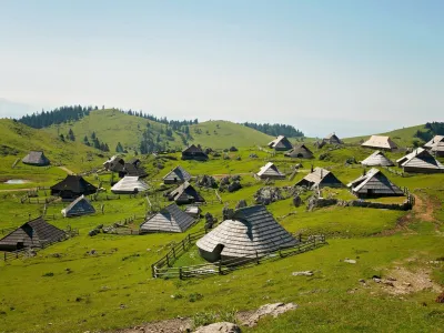 Pašniki v naselju Velika planina