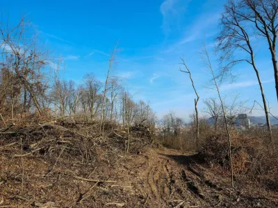 Obsežna sečnja dreves, ki od sredine decembra poteka na območju gozda, ki sodi pod okrilje Krajinskega parka Tivoli, Rožnik in Šišenski hrib in je v lasti Mestne občine Ljubljana (MOL),