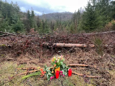 Rože in sveče na kraju, kjer je umrla 12-letna Luise. »Za nas se je svet ustavil,« so v osmrtnici zapisali njeni starši. Foto: Reuters