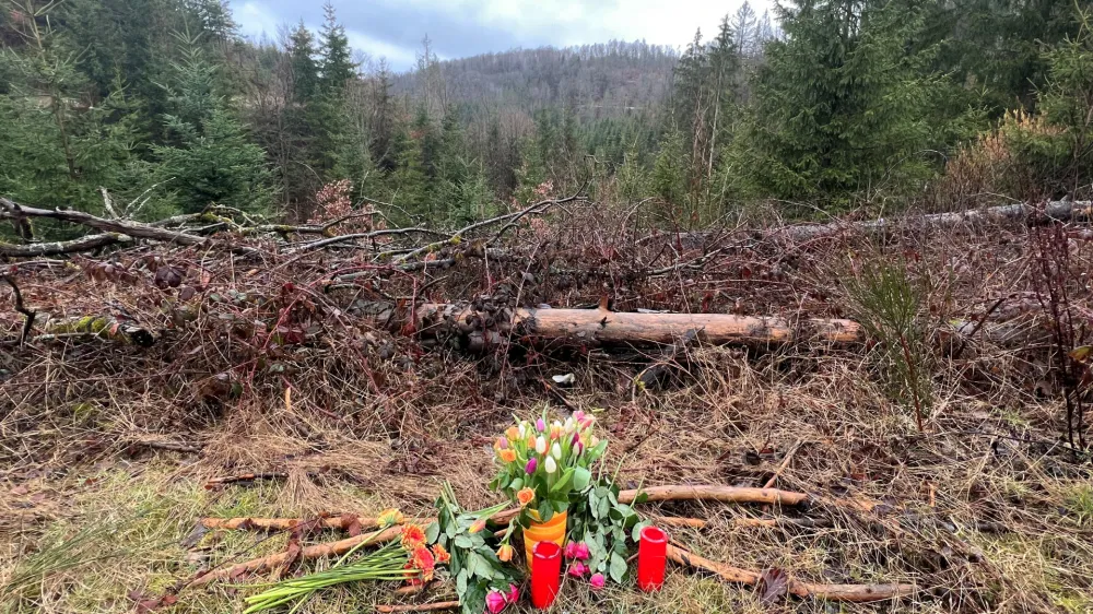 Rože in sveče na kraju, kjer je umrla 12-letna Luise. »Za nas se je svet ustavil,« so v osmrtnici zapisali njeni starši. Foto: Reuters