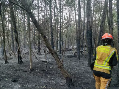 Kostanjevica na Krasu.Pozar na goriskem Krasu.Foto: Facebook profil PGD Ajdovscina