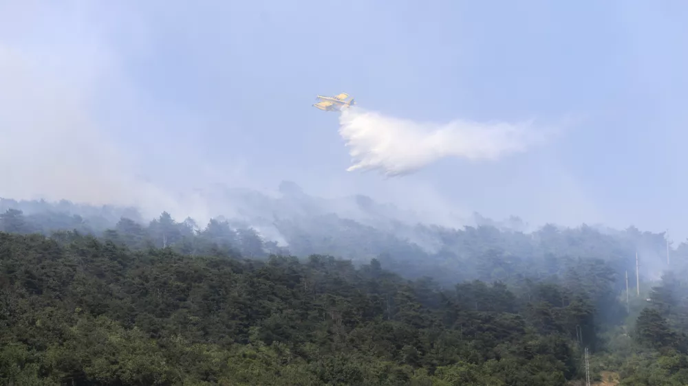 - 18.07.2024 - Požar na Krasu - Komen, Škrbina, Lipa - ogenj, ognjeni zublji, gašenje, gasilci  //FOTO: Jaka Gasar