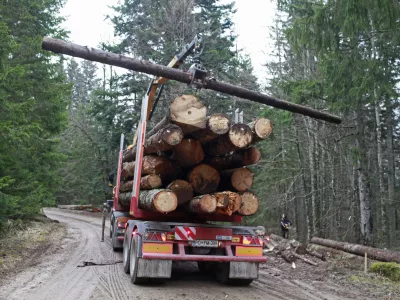 Prihodki v lesnopredelovalni industriji so se lani znižali za sedem odstotkov. Fotografija je simbolična. Foto: Luka Cjuha 