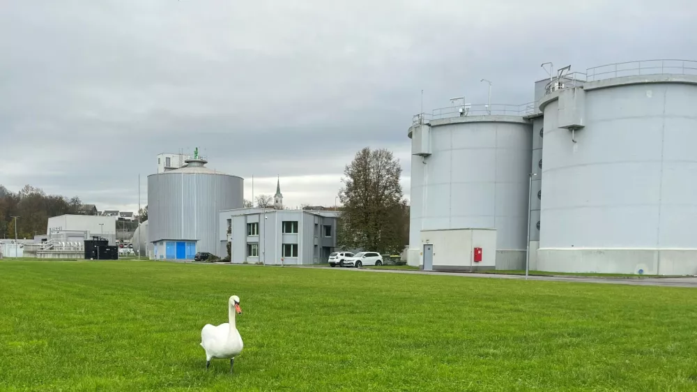 Spomladi so v Komunali Kranj podražili vodo, z julijem pa se je zvišala tudi cena za odvajanje komunalne in padavinske vode. Foto: Tina Jereb