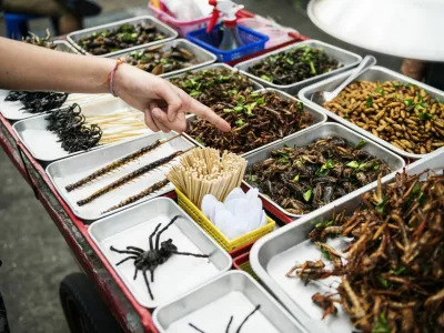 ﻿Closeup of hand ordering cooked insects in Thailand street food stall