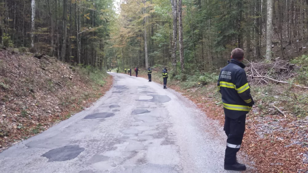 ﻿Predmeja, strmoglavljenje letala, iskalna akcija manjkajočega repa letala